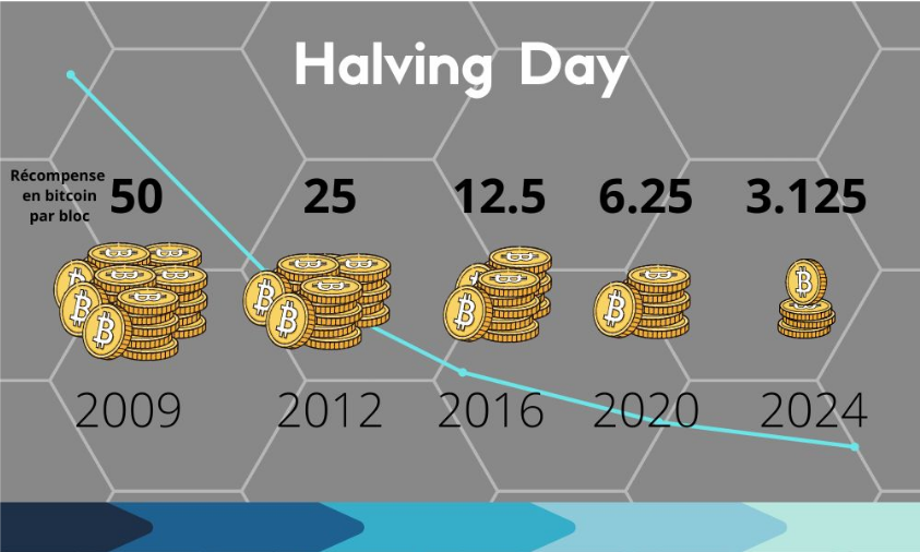 Représentation schématique du Halving Day