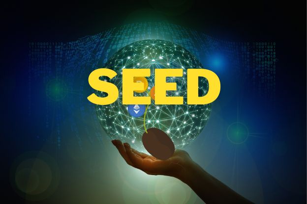 Vignette pour le cours sur les seed représentant une main qui tient une graine qui pousse avec des coin