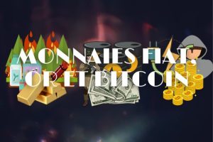 vingette pour le cours monnaies fiat, or et bitcoin représentant les défaut de chaque éléments