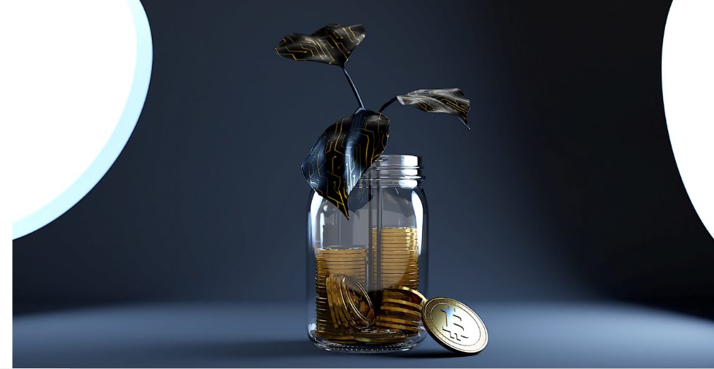 Pot en verre contenant une plante et des piéces Bitcoin